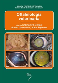 miniyes-oftalmologia